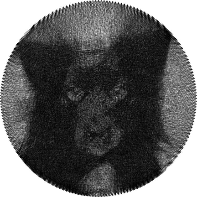 Image Two